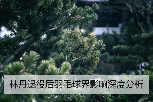 lin-dan-tui-yi-hou-yu-mao-qiu-jie-ying-xiang-shen-du-fen-xi-2-971.jpg